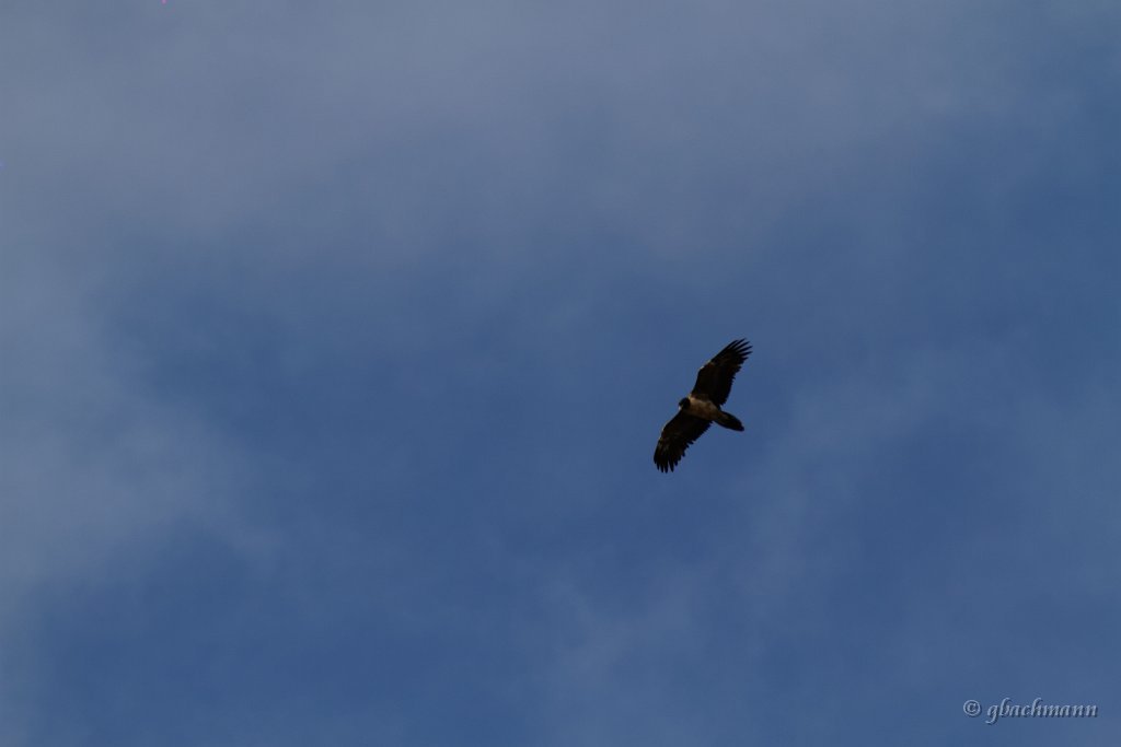 20140531_299